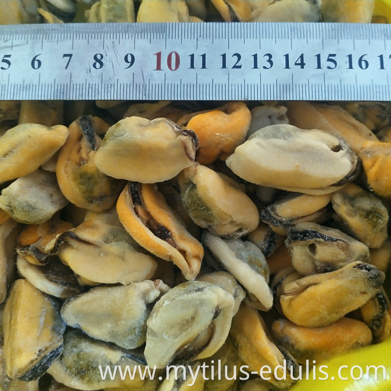 Frozen IVP mussels without shell